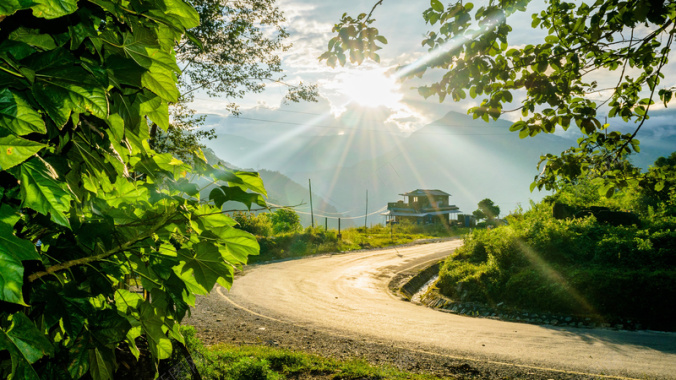 户外道路森林绿色植物平面广告摄影图片