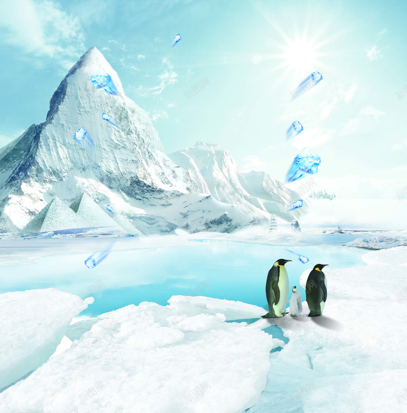 冬季南极海报psd设计背景_新图网 https://ixintu.com 企鹅 冬季 冰川 南极 摄影 白色 蓝色 风景