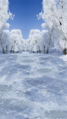 冬季大雪雪景H5背景摄影图片