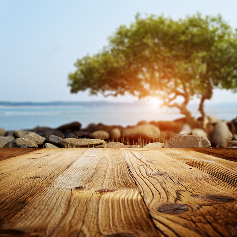 唯美摄影背景图psd设计背景_新图网 https://ixintu.com 摄影 木质 树 棕色 海面 石头 纹理 风景