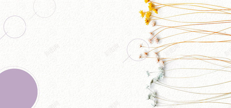 ԱС¼Լbanner