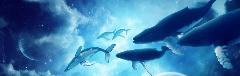 鲸鱼群体组合奇景psd设计背景_新图网 https://ixintu.com 商务 大气 海底 海报banner 海洋世界 科幻 科技 蓝色背景 鲸鱼