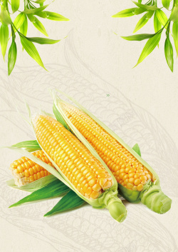 配送中心玉米有机蔬菜配送公司广告海报背景高清图片