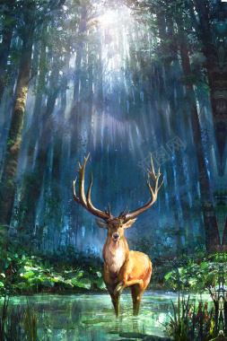 自然森林海报背景背景