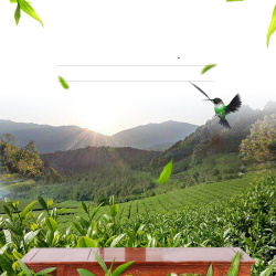 绿茶主图茶园风景茶叶茶具PSD分层主图背景高清图片