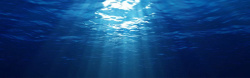 深海质感背景夏季深海背景高清图片