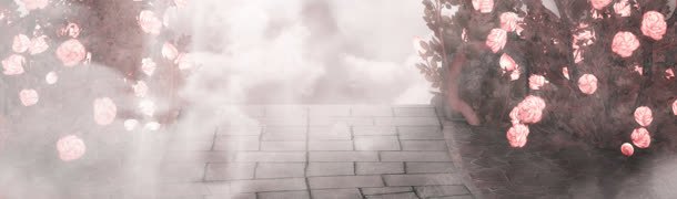 女装bannerjpg设计背景_新图网 https://ixintu.com 女装新品创意 女装连衣裙淘宝首页海报 淘宝首页海报