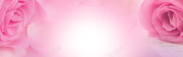 粉色玫瑰花水珠背景jpg设计背景_新图网 https://ixintu.com 水珠 玫瑰花 粉色 背景
