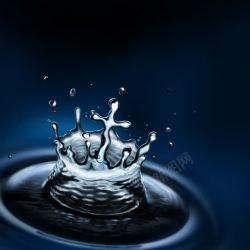 动感水花与鱼图片动感水花与水纹高清图片