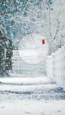 日历矢量美图银色雪花唯美冬季大寒背景高清图片