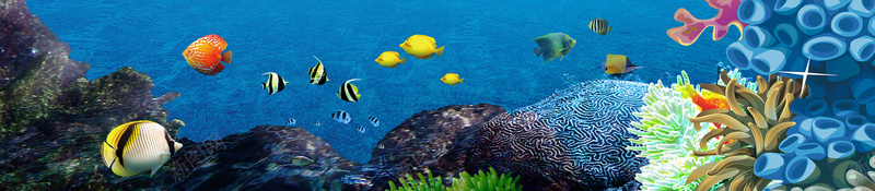卡通海豚海洋世界psd设计背景_新图网 https://ixintu.com 手绘 旅游 水族馆 海底世界 海报 海水 海洋世界 海滨 海豚 热情 珊瑚 鱼群