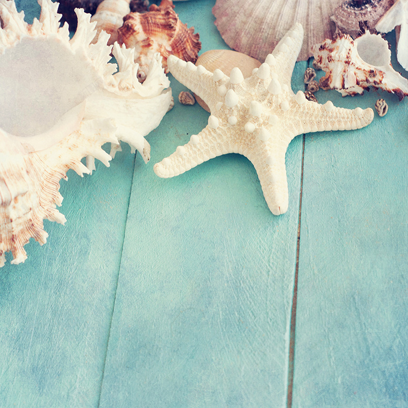 浪漫海星木板背景jpg设计背景_新图网 https://ixintu.com 主图 文艺 浪漫 海星 海螺 清新 纹理 质感