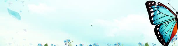 唯美女装背景jpg设计背景_新图网 https://ixintu.com 女装 淘宝模板下载 淘宝素材 淘宝设计 蝴蝶