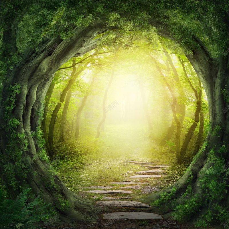 童话森林jpg设计背景_新图网 https://ixintu.com 卡通 手绘 童趣 绿色森林童话