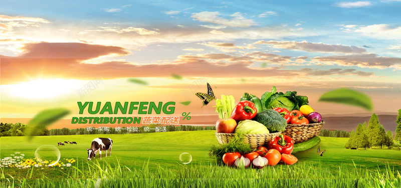 有机蔬菜psd设计背景_新图网 https://ixintu.com 农场 卡通 手绘 有机水果 有机蔬菜 海报banner 牧场 童趣