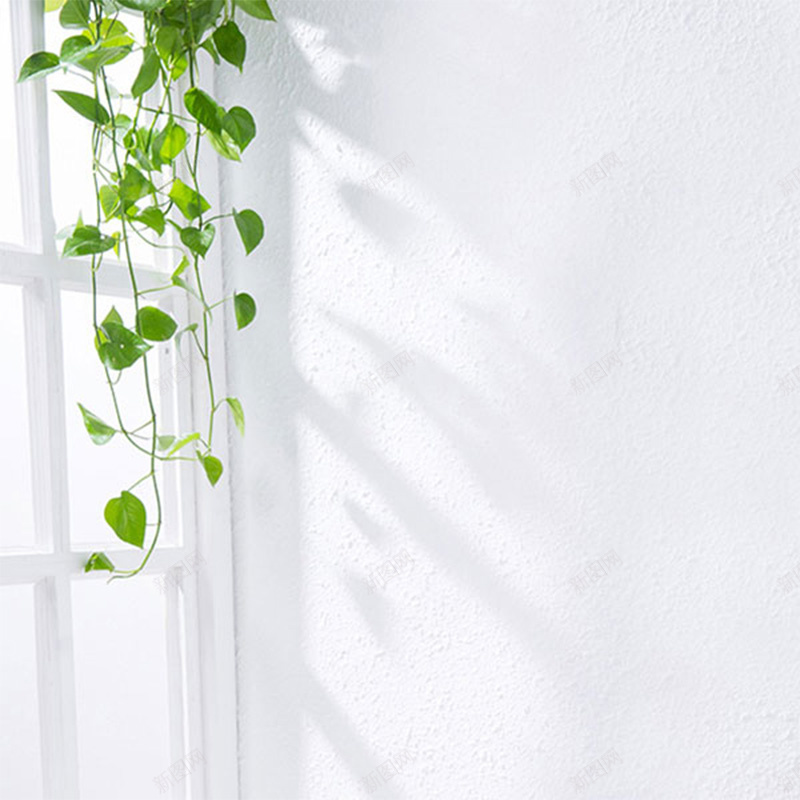 墙边植物背景jpg设计背景_新图网 https://ixintu.com 主图 墙边 文艺 植物 清新 简约 纹理 质感