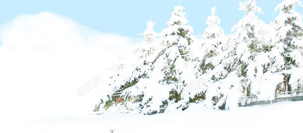 雪景背景jpg设计背景_新图网 https://ixintu.com 圣诞海报 松树 雪景