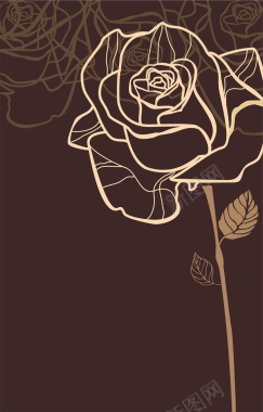 手绘线稿玫瑰花矢量图背景