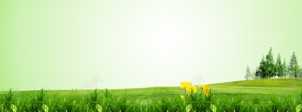 草坪背景jpg设计背景_新图网 https://ixintu.com 叶子 品质 环保 绿色 绿草 金牌