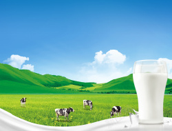 春天牧场绿色营养健康牛奶宣传海报高清图片