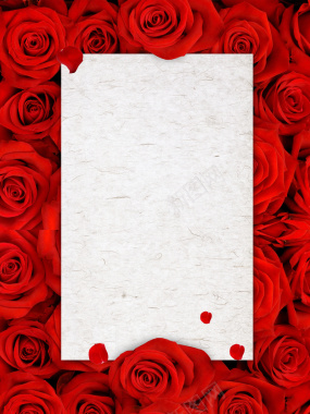 红色玫瑰花浪漫情人节海报背景背景