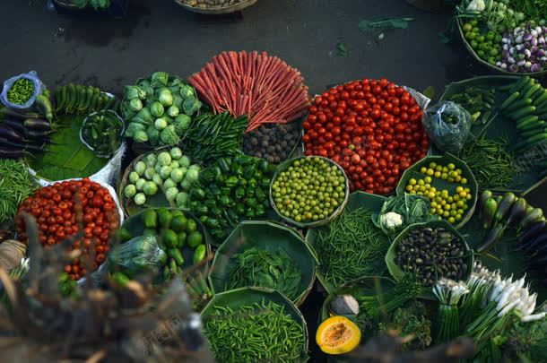 各种绿色水果蔬菜jpg设计背景_新图网 https://ixintu.com 各种 水果 绿色 蔬菜