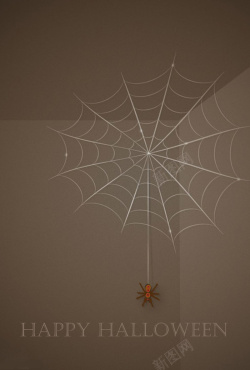 灰色蜘蛛网万圣节灰色房间的蜘蛛高清图片