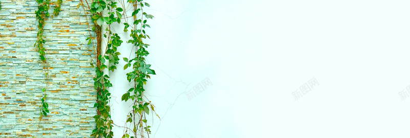 清新jpg设计背景_新图网 https://ixintu.com 墙 摄影 树叶 植物 海报banner 绿色 自然 风景