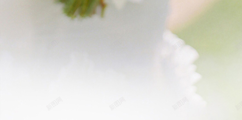我们结婚了白色花束背景jpg_新图网 https://ixintu.com 伴娘 婚纱 我们结婚了 摄影 新娘 白色 白色花束 结婚 背景 花束 风景