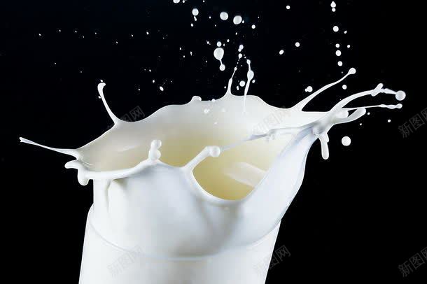 飞溅的牛奶jpg设计背景_新图网 https://ixintu.com 其它类别 动感牛奶 图片素材 牛奶饮料 背景花边 飞溅的牛奶 飞溅的牛奶图片 飞溅的牛奶图片素材下载