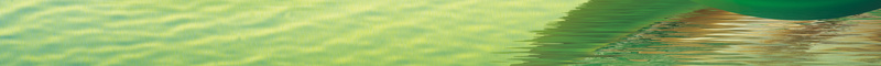 龙舟粽子海报背景psd设计背景_新图网 https://ixintu.com 中国风 屈原 海报 白色 端午 端午节海报 粽子 纪念 绿色