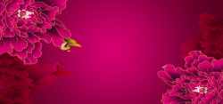 粉色展板模版牡丹花纹背景高清图片