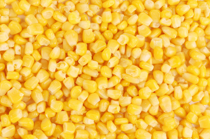 玉米粒拍摄jpg_新图网 https://ixintu.com 摄影 摄影喜欢 橙色 玉米粒 粮食 风景 高清 黄色