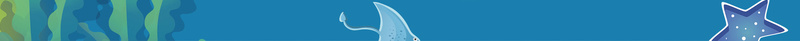 蓝色卡通矢量海洋馆海报背景psd设计背景_新图网 https://ixintu.com 动物园 大海 手绘 水族馆 海底 海底世界 海洋 海洋公园 海洋展 海洋节 海豚 蓝天 蓝色