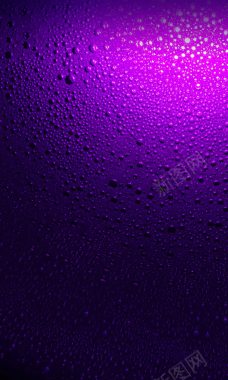 紫色水珠桌面壁纸背景