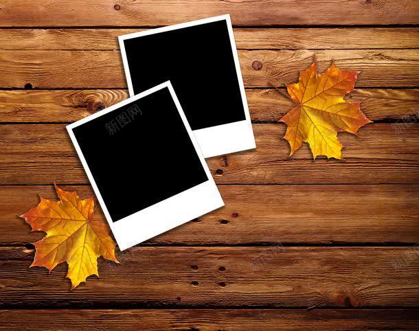 木板枫叶与白色相框jpg设计背景_新图网 https://ixintu.com 古老木纹 叶子 图片素材 底纹背景 木板 木板枫叶与白色相框图片 木板枫叶与白色相框图片素材下载 木板背景 木纹 木纹背景 枫叶 枫叶木板 白色相框 背景花边