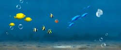 海底的鱼群海底鱼群气泡背景banner高清图片