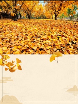 秋季旅行推荐简约大气金色银杏旅游秋季旅游高清图片