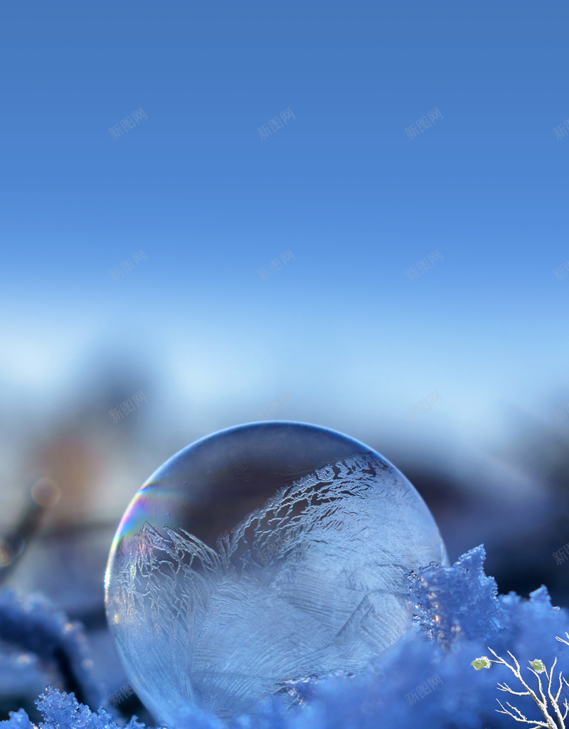 冬季雪景冬天你好海报psd设计背景_新图网 https://ixintu.com 二十四节气 你好冬天 冰冻 冰雪 寒冬 寒冷 房子 立冬 蓝色 雪地