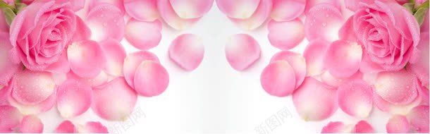 粉色花瓣淘宝海报背景背景