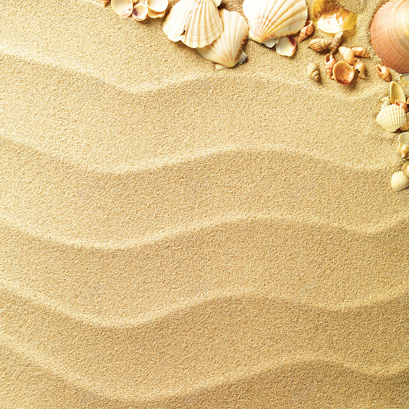 沙滩上贝壳背景jpg设计背景_新图网 https://ixintu.com 主图 底纹 沙滩 清新 纹理 自然 贝壳 质感