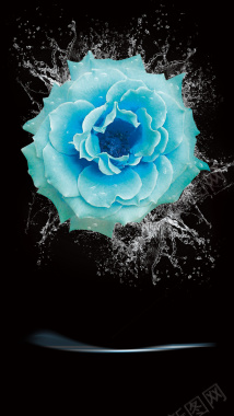 蓝色花卉水珠H5背景背景