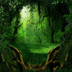 丛林深处绿色丛林深处背景高清图片
