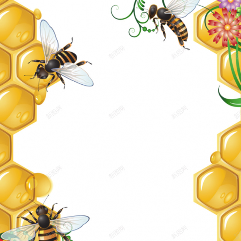 蜂蜜产品背景图jpg设计背景_新图网 https://ixintu.com 主图 卡通 手绘 童趣 蜂蜜 蜜蜂 鲜花