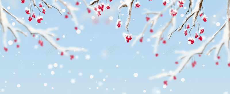 冬季腊梅文艺雪花蓝色bannerpsd设计背景_新图网 https://ixintu.com 冬天 冬季 冬季暖歌 冬日暖歌 冬至 大寒 大雪 寒冬 小寒 小雪 暖冬 节气 设计 雪 雪景 雪花