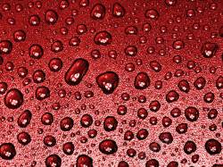 绛红水滴宝石红的水珠背景高清图片