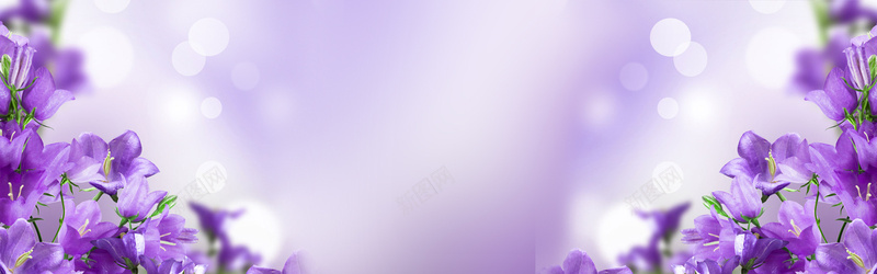 梦幻紫色花朵背景jpg设计背景_新图网 https://ixintu.com 叶子 小花 展板 手绘花朵 时尚花朵 时尚花纹 淡雅花朵 紫色背景 紫色花朵背景 线条花纹 背景墙 花苞 设计素材