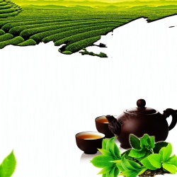 采茶制茶图清新简约茶广告背景高清图片