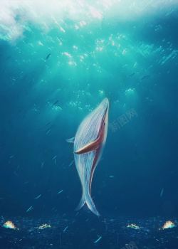 海洋馆宣传单深海鲸鱼海洋馆宣传海报背景psd高清图片