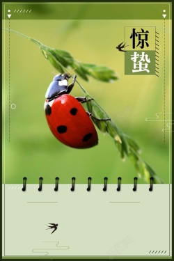 昆虫蝉二十四节气惊蛰绿色清新简约背景海报